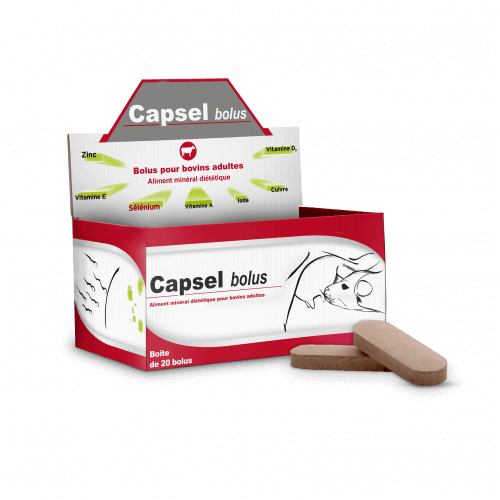 bolus capsel - capsel bolus - Bolus bovin apportant vitamines et oligos sur une longue durée - alfalor suisse