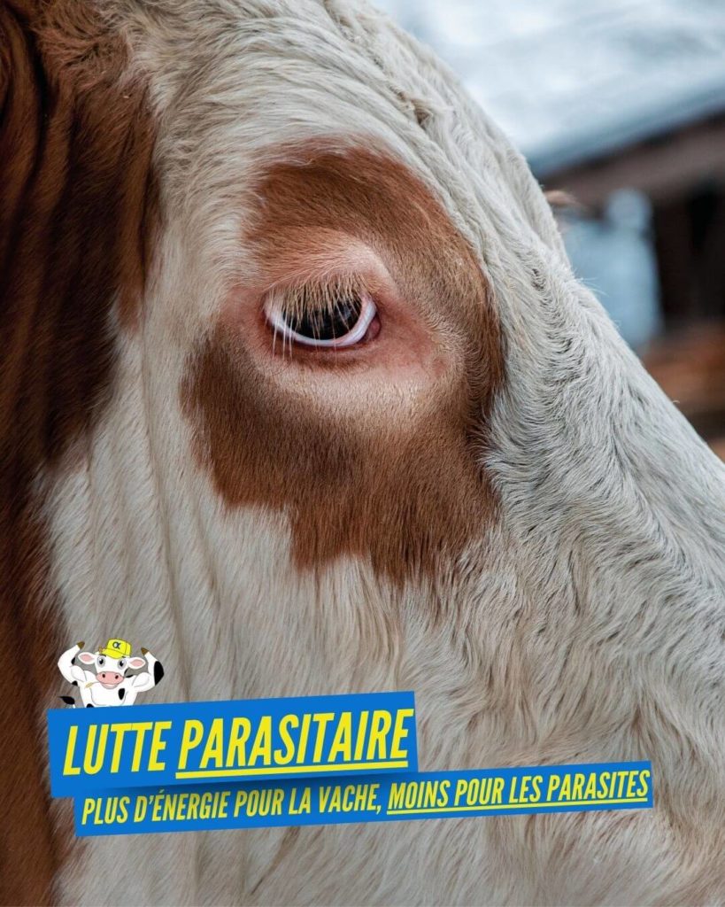 lutte parasitaire alfalor