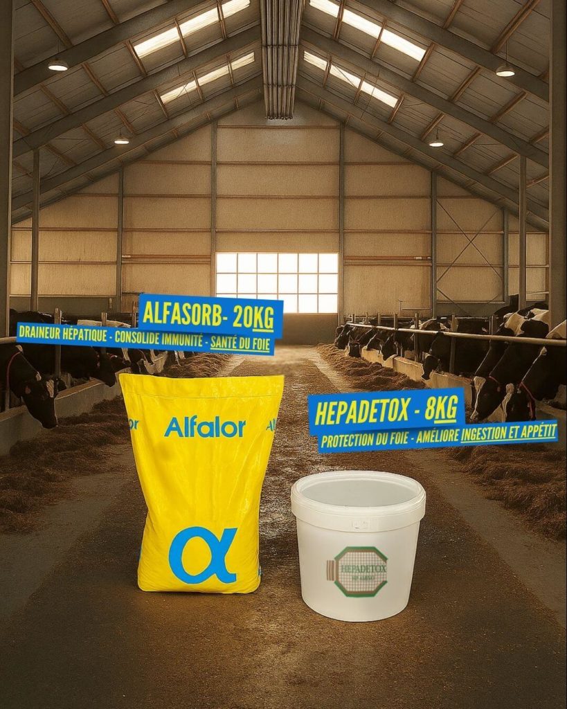 produits soin du foie vache laitière