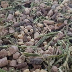 18pcr_alfalor_suisse