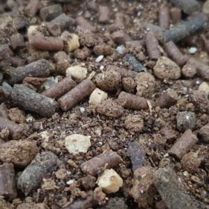 28 pcr_alfalor_suisse