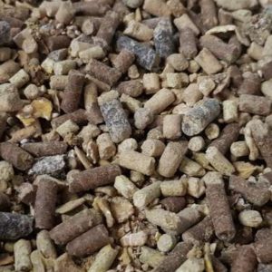 close up_alfalor_suisse