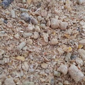 energie rf_alfalor_suisse