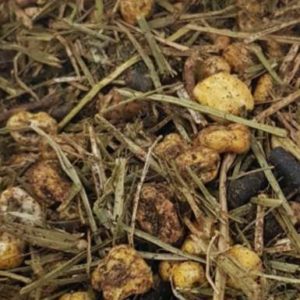 veau demarrage_alfalor_suisse